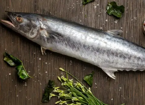 https://shp.aradbranding.com/قیمت ماهی شیر بندر بوشهر + خرید باور نکردنی